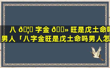 八 🦆 字金 🌻 旺是戊土命吗男人「八字金旺是戊土命吗男人怎么样」